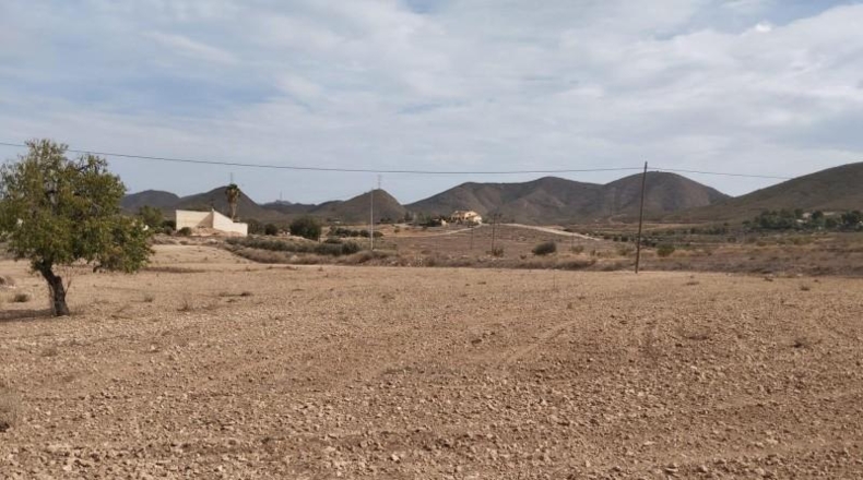 Murcia - Lorca - 11000m2