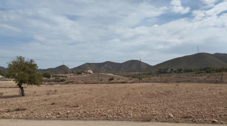 Murcia - Lorca - 11000m2
