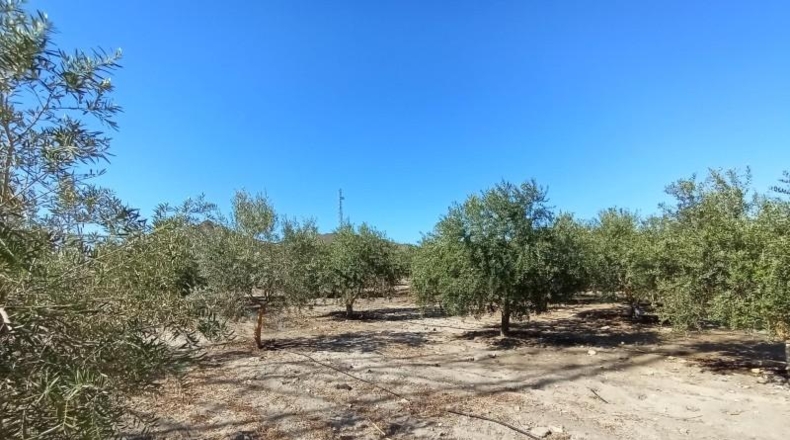Murcia - Puerto Lumbreras - 19100m2