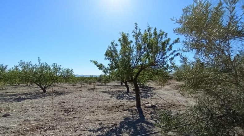 Murcia - Puerto Lumbreras - 19100m2
