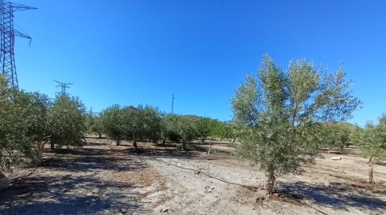 Murcia - Puerto Lumbreras - 19100m2