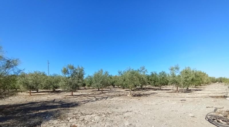 Murcia - Puerto Lumbreras - 19100m2