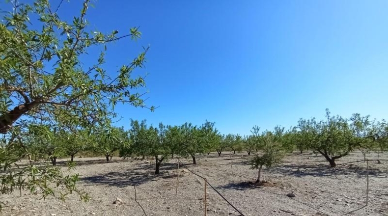Murcia - Puerto Lumbreras - 19100m2