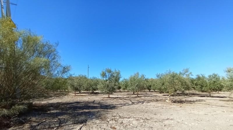 Murcia - Puerto Lumbreras - 19100m2