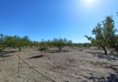 Terreno no urbanizable en venta en la España, Puerto Lumbreras, ref: TR129171 foto