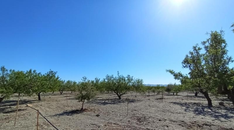 Murcia - Puerto Lumbreras - 19100m2