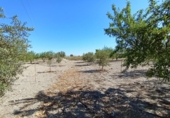 Terreno no urbanizable en venta en la España, Puerto Lumbreras, ref: TR129171 foto