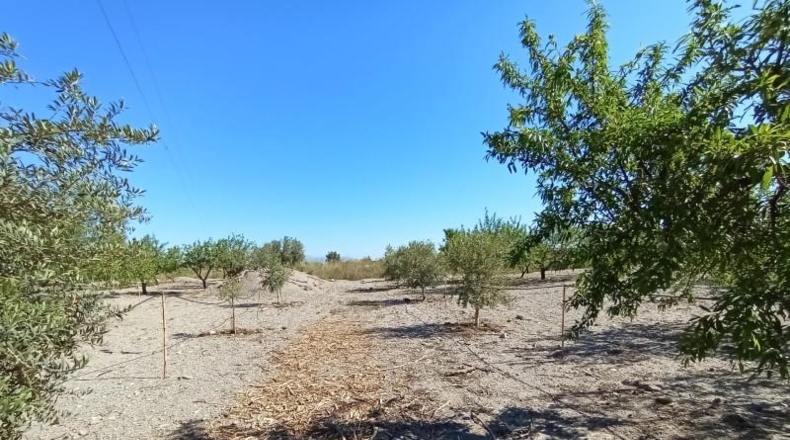 Murcia - Puerto Lumbreras - 19100m2