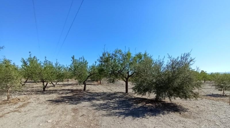 Murcia - Puerto Lumbreras - 19100m2