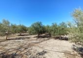Terreno no urbanizable en venta en la España, Puerto Lumbreras, ref: TR129171 foto