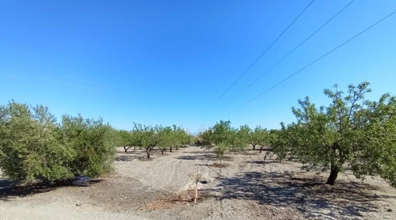 Murcia - Puerto Lumbreras - 19100m2