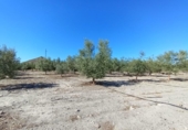 Terreno no urbanizable en venta en la España, Puerto Lumbreras, ref: TR129171 foto