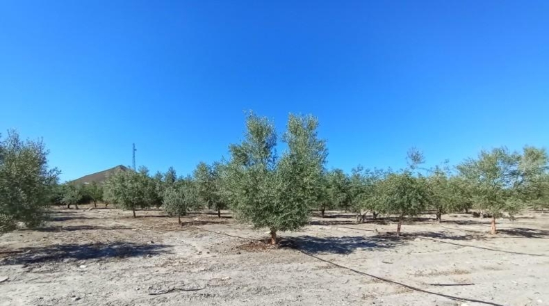 Murcia - Puerto Lumbreras - 19100m2