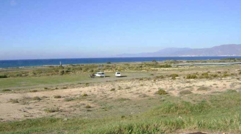 Almería - El Ejido - 8231m2