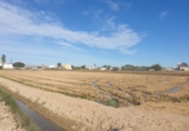 Non-developable land for sale on España, Sant Jaume d'Enveja, ref: TR121843 photo