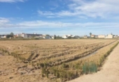 Non-developable land for sale on España, Sant Jaume d'Enveja, ref: TR121843 photo