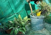 Загородный дом с участком на продажу в городе Дос-Эрманас Фото