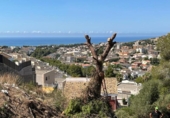 Sòl urbà en venda a la España, Calafell, ref.: TR122188 foto