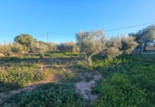 Casa de camp amb terreny en venda a la España, Fuente Álamo, ref.: TR362722 foto