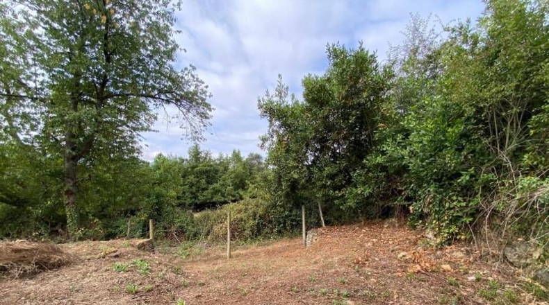 Burgos - Caniego - 1070m2