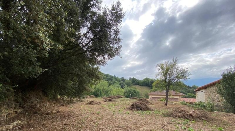 Burgos - Caniego - 1070m2