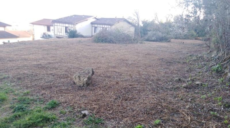 Burgos - Caniego - 1070m2