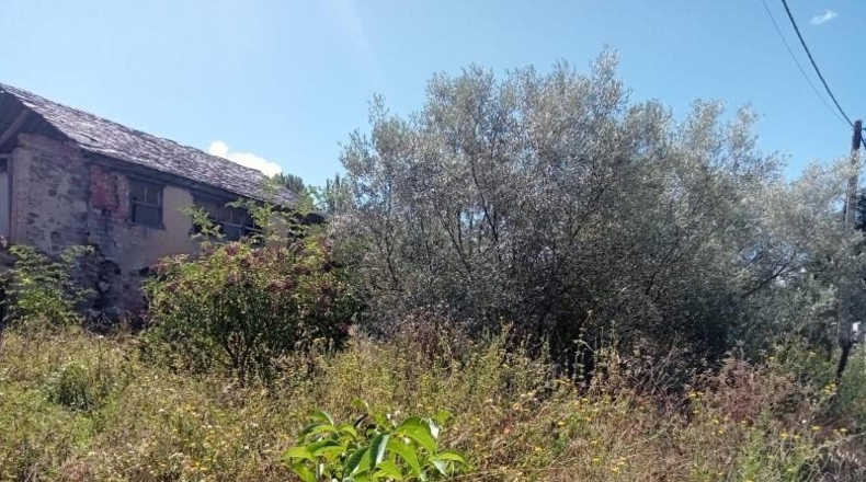 León - Ponferrada - 1174m2