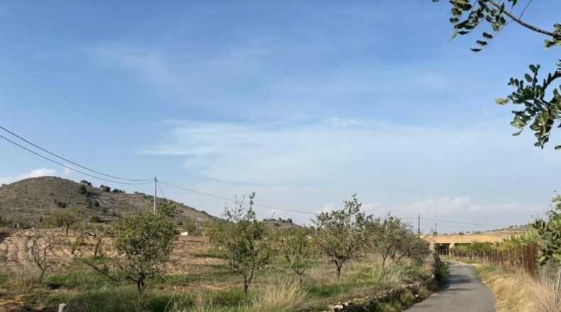 Murcia - Cartagena - 14m2