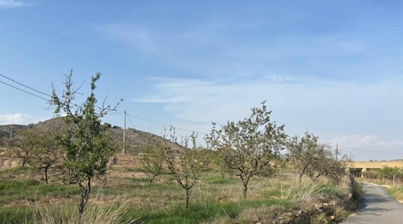 Murcia - Cartagena - 14m2