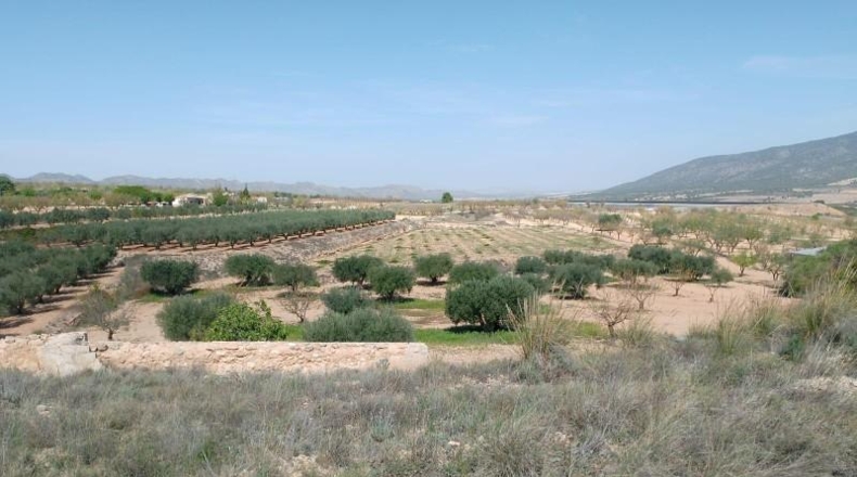 Murcia - Yecla - 9400m2