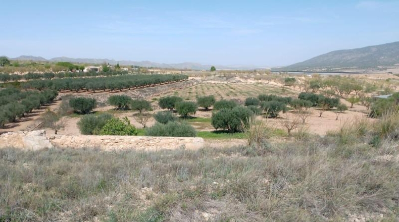 Murcia - Yecla - 9400m2
