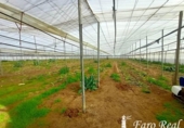 Terreny no urbanitzable en venda a la España, Sanlúcar de Barrameda, ref.: TR127365 foto