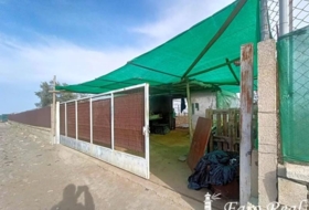 Foto 11