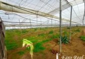 Terreny no urbanitzable en venda a la España, Sanlúcar de Barrameda, ref.: TR127365 foto