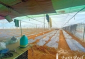Terreny no urbanitzable en venda a la España, Sanlúcar de Barrameda, ref.: TR127365 foto