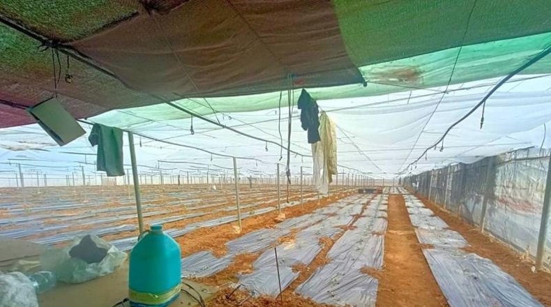 Cádiz - Sanlúcar de Barrameda - 3000m2