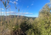 Non-developable land for sale on España, Torrent, ref: TR128307 photo