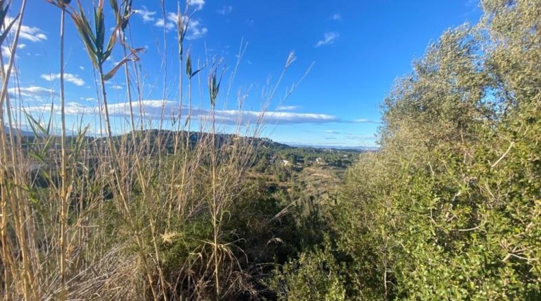 Valencia - Torrente - 1506m2