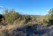 Non-developable land for sale on España, Torrent, ref: TR128307 photo