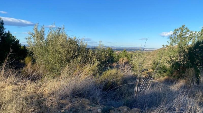 Valencia - Torrente - 1506m2