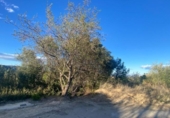 Non-developable land for sale on España, Torrent, ref: TR128307 photo
