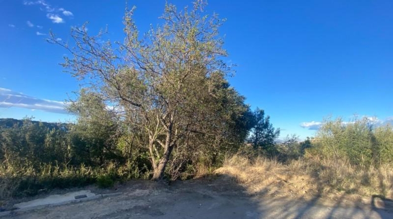 Valencia - Torrente - 1506m2