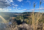 Non-developable land for sale on España, Torrent, ref: TR128307 photo