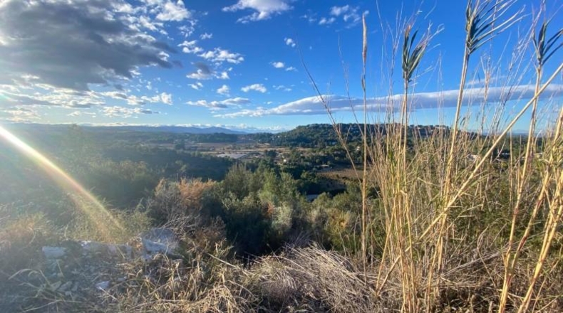 Valencia - Torrente - 1506m2