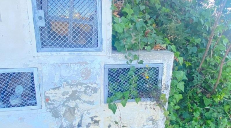 Valencia - Torrente - 1506m2