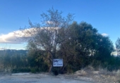 Non-developable land for sale on España, Torrent, ref: TR128307 photo