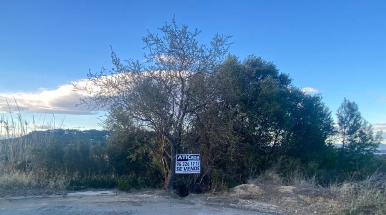 Valencia - Torrente - 1506m2