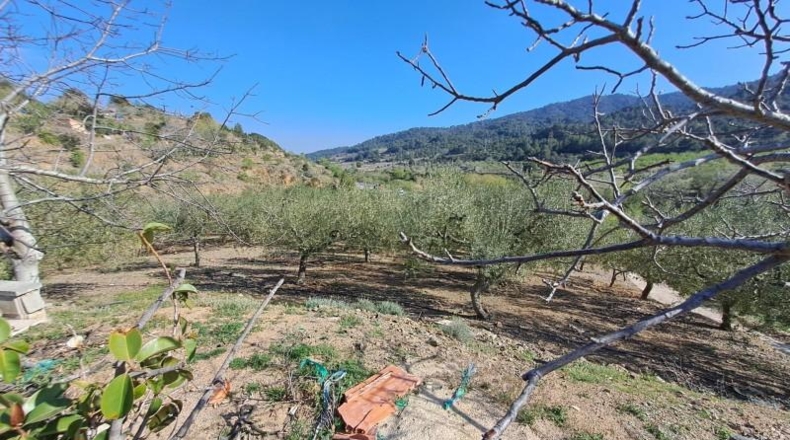 Tarragona - Riudecols - 20395m2