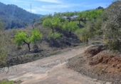 Non-developable land for sale on España, Riudecols, ref: TR128903 photo