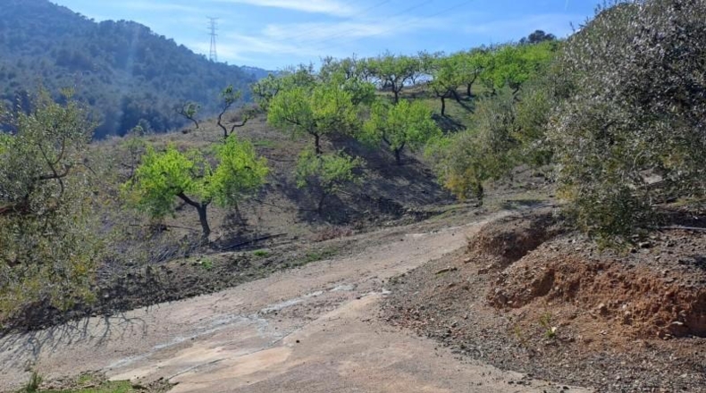 Tarragona - Riudecols - 20395m2